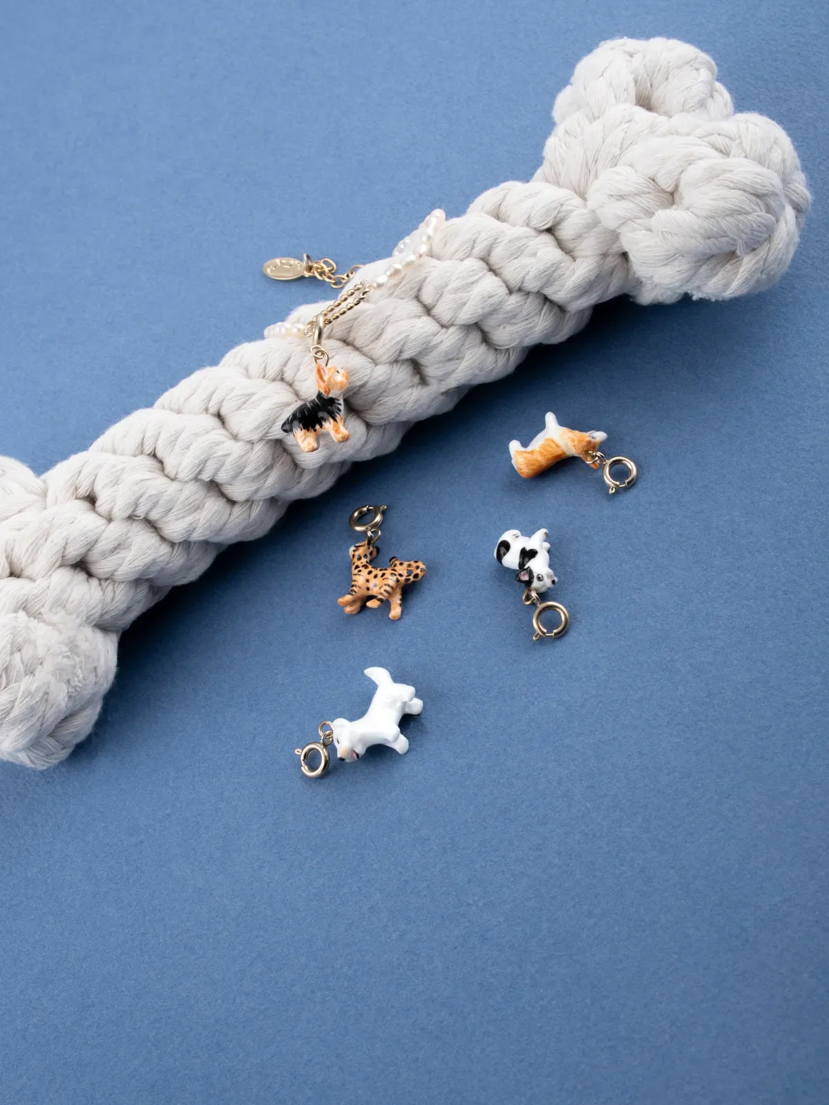 Image du produit 5